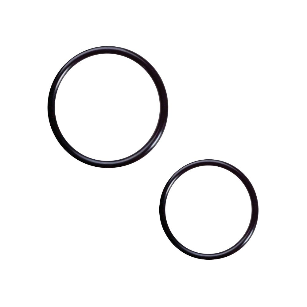 Conjunto com 2 O-Rings VITON para Bico de Abastecimento BR-50